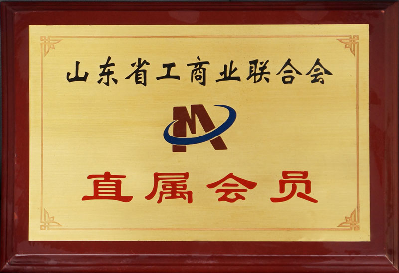山東省工商聯(lián)直屬會(huì )員